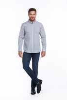 Comfort Fit Long Sleeve Striped Cotton Blue Casual Shirt