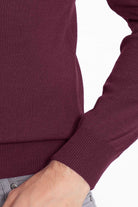 Regular Fit Basic Plain Plum Turtleneck Sweater - SAYKI