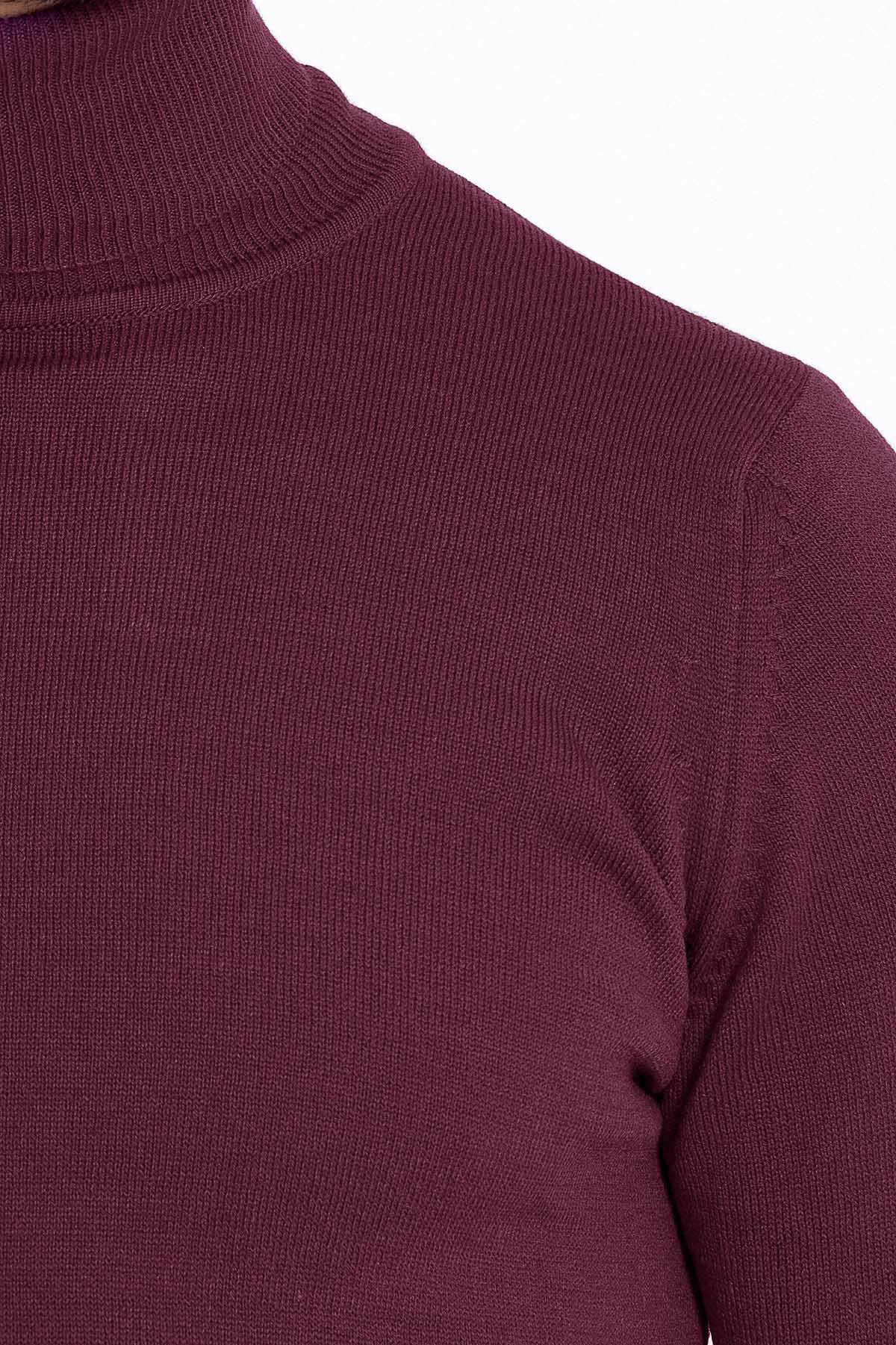 Regular Fit Basic Plain Plum Turtleneck Sweater - SAYKI