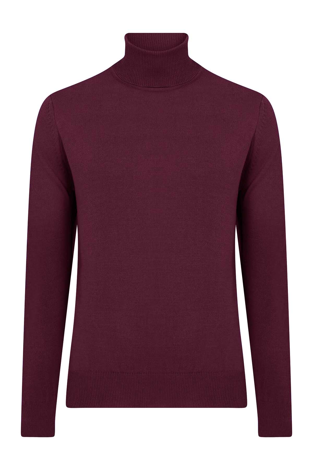 Regular Fit Basic Plain Plum Turtleneck Sweater - SAYKI