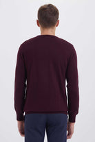 Regular Fit Basic Wool Blend Burgundy Crewneck Sweater