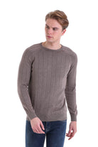 Regular Fit Brown Cotton Blend Crewneck Sweater - SAYKI