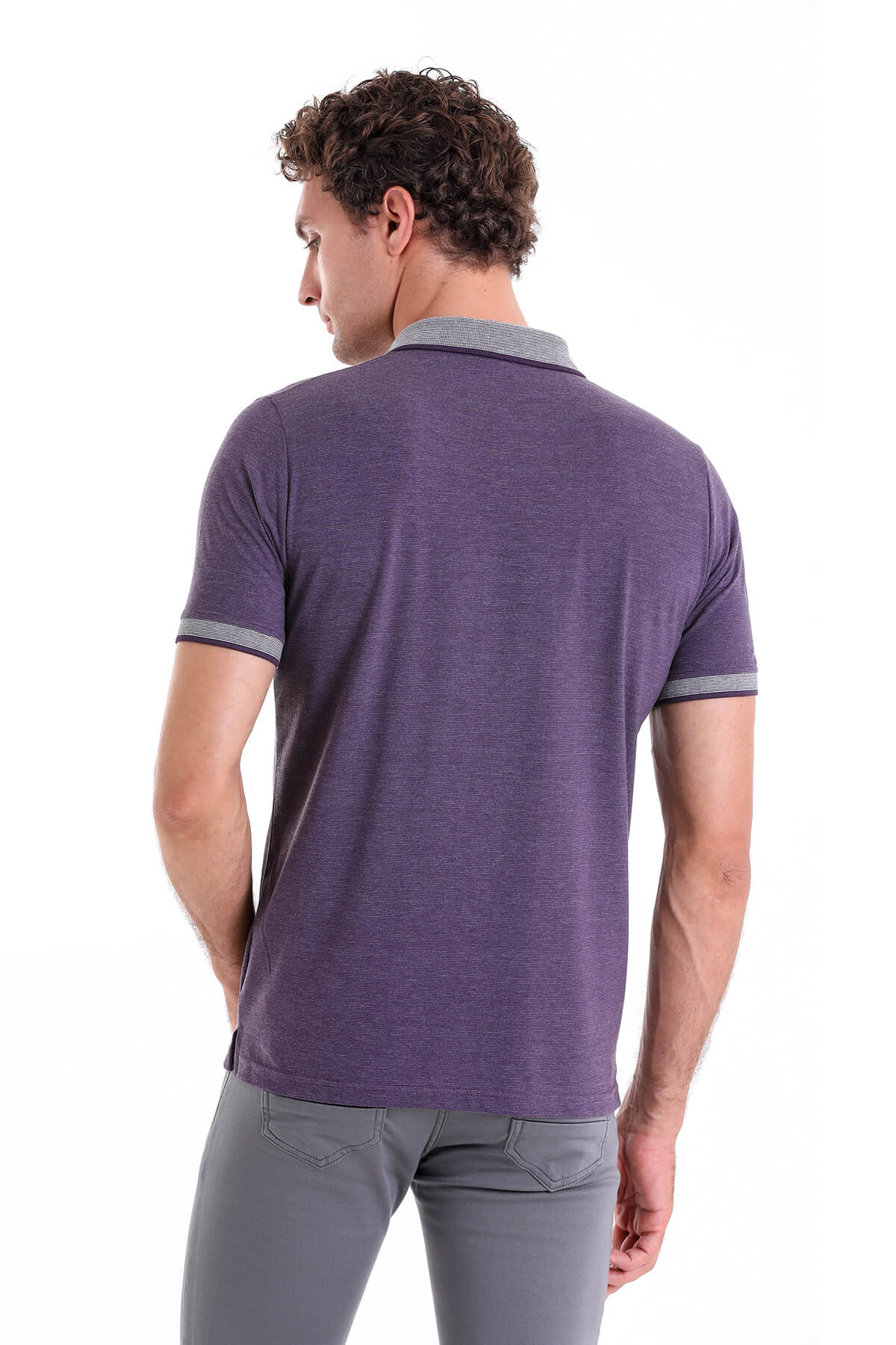 Regular Fit Cotton Blend Plum Polo T-Shirt - MIB