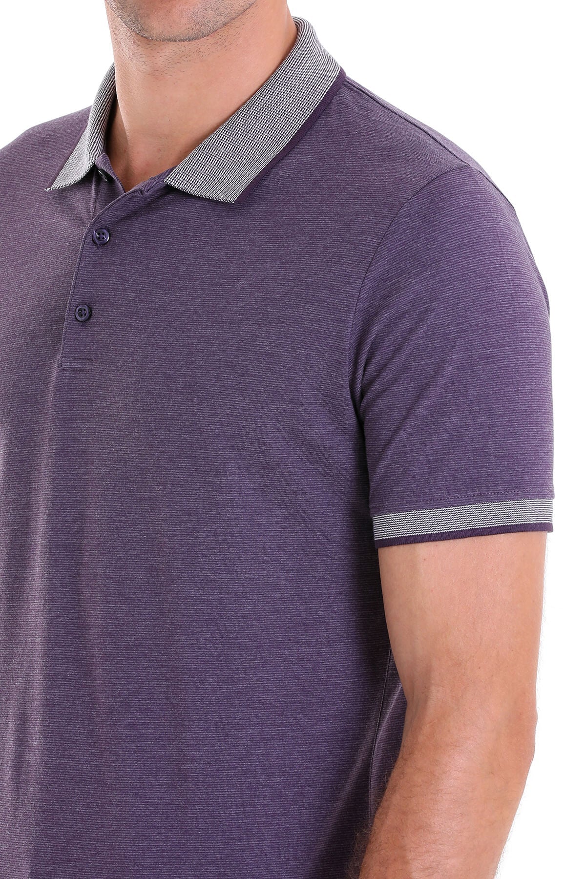 Regular Fit Cotton Blend Plum Polo T-Shirt - MIB