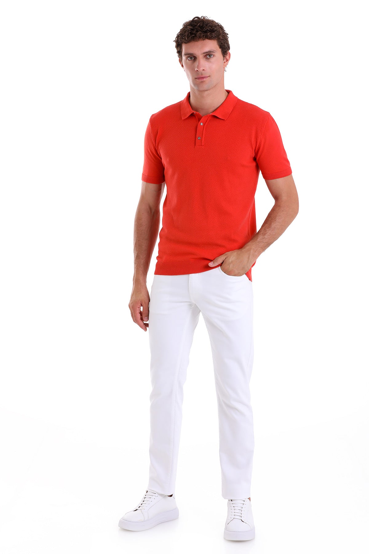 Regular Fit Cotton Blend Pomegranate Flower Polo T-Shirt