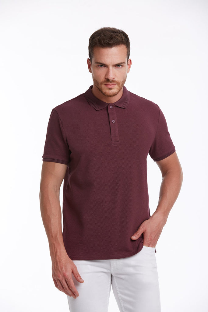 Regular Fit Patterned Cotton Blend Polo T-shirt Plum - MIB