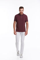 Regular Fit Patterned Cotton Blend Polo T-shirt Plum - MIB