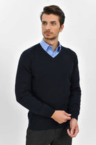 Regular Fit Plain Cotton Blend Burgundy V-Neck Sweater Navy