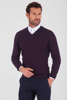 Regular Fit Plain Cotton Blend Khaki V-Neck Sweater Purple