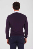 Regular Fit Plain Cotton Blend Khaki V-Neck Sweater Purple