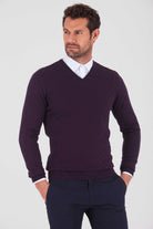 Regular Fit Plain Cotton Blend Khaki V-Neck Sweater Purple