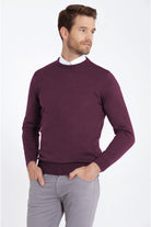 Regular Fit Purple Crewneck Sweater - MIB