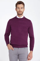 Regular Fit Purple Crewneck Sweater - MIB