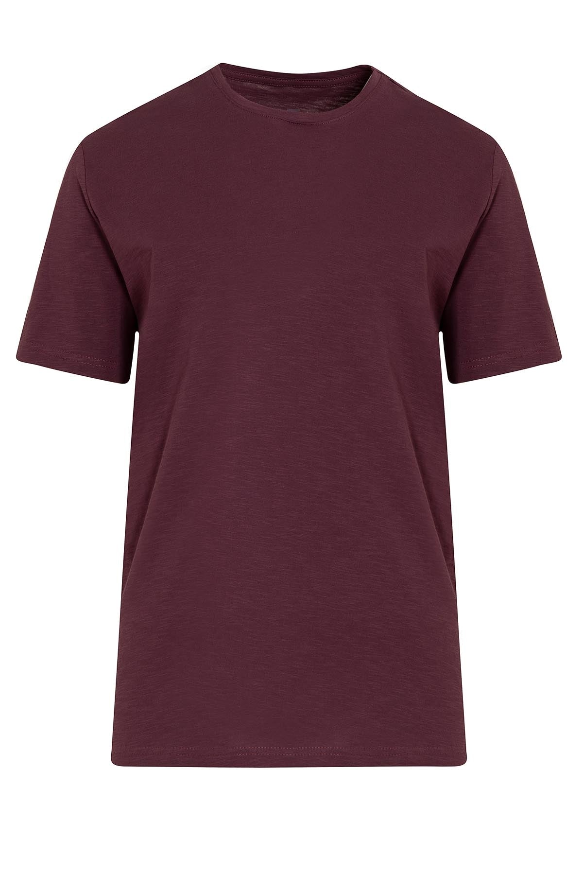 Slim Fit Basic Cotton Plum Crew Neck T-Shirt - MIB